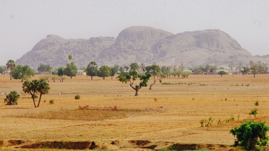 Landscape
