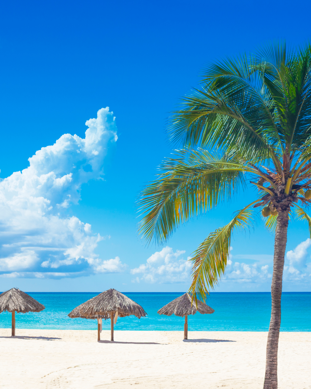 Curaçao Travel Guide for World Cup Fans: Beaches, Football Fever & Caribbean Freedom