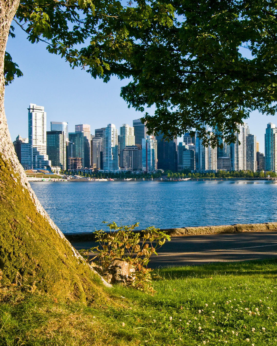 FIFA World Cup 2026 in Canada: Travel Tips for Toronto & Vancouver – and Why an eSIM Is a Must-Have