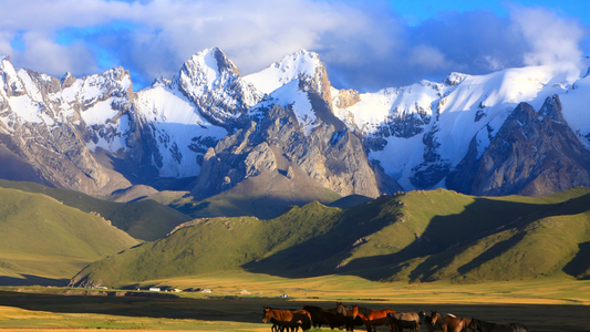 Landscape