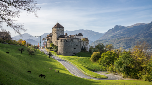 Landscape