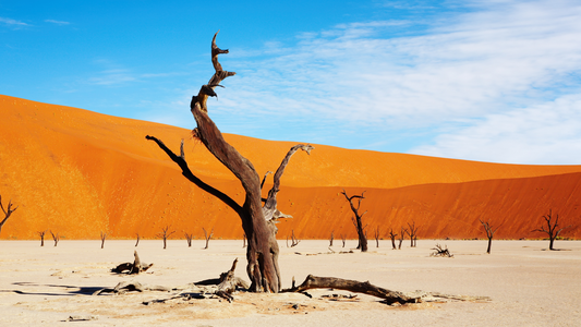 Landscape