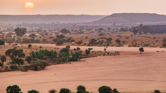 Landscape